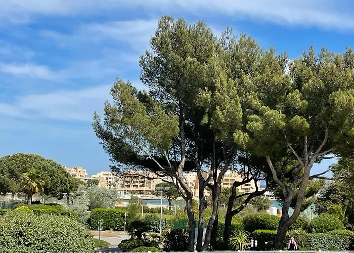 My Little Provence Bormes Les Mimosas